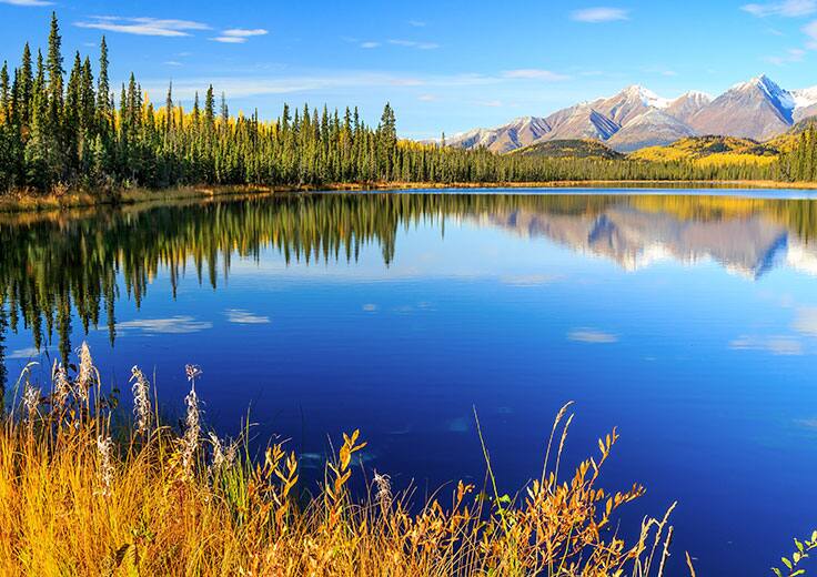 Forests & Fjords Explore Alaska