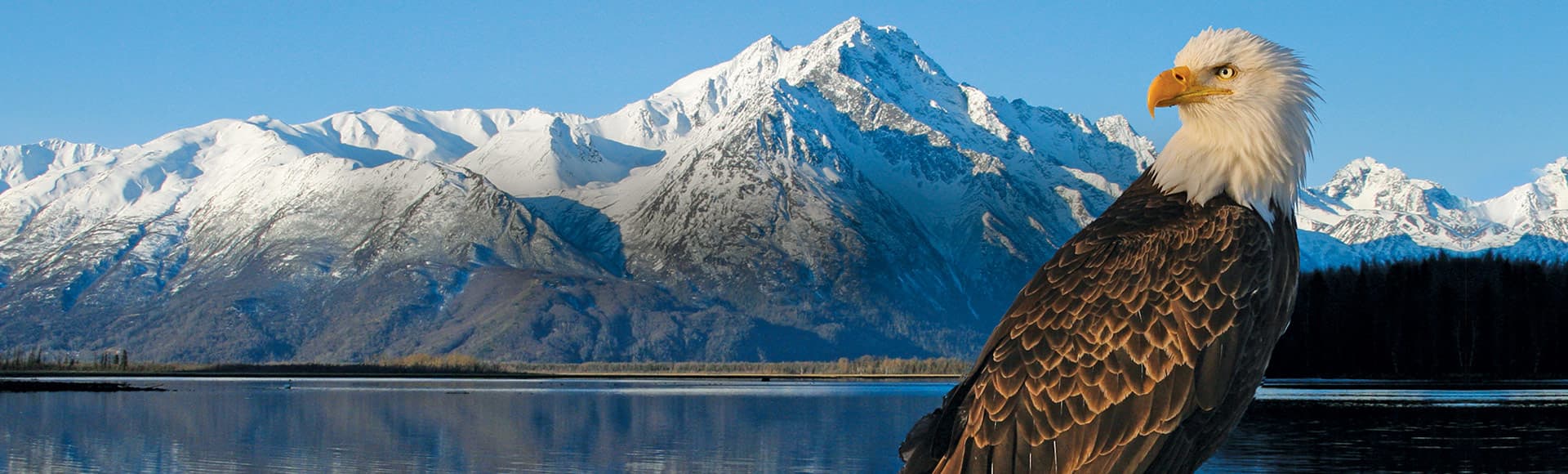 Luxury Cruise Deals Oceania Cruise