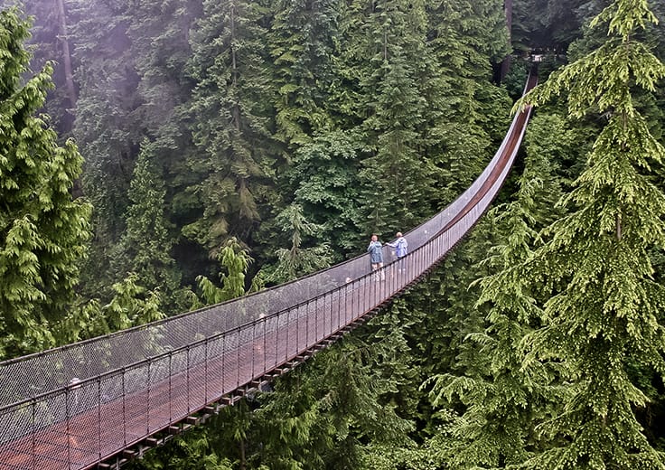 Suspension Bridge