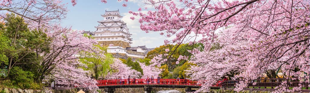 Tour Japan and visit Osaka Castle 