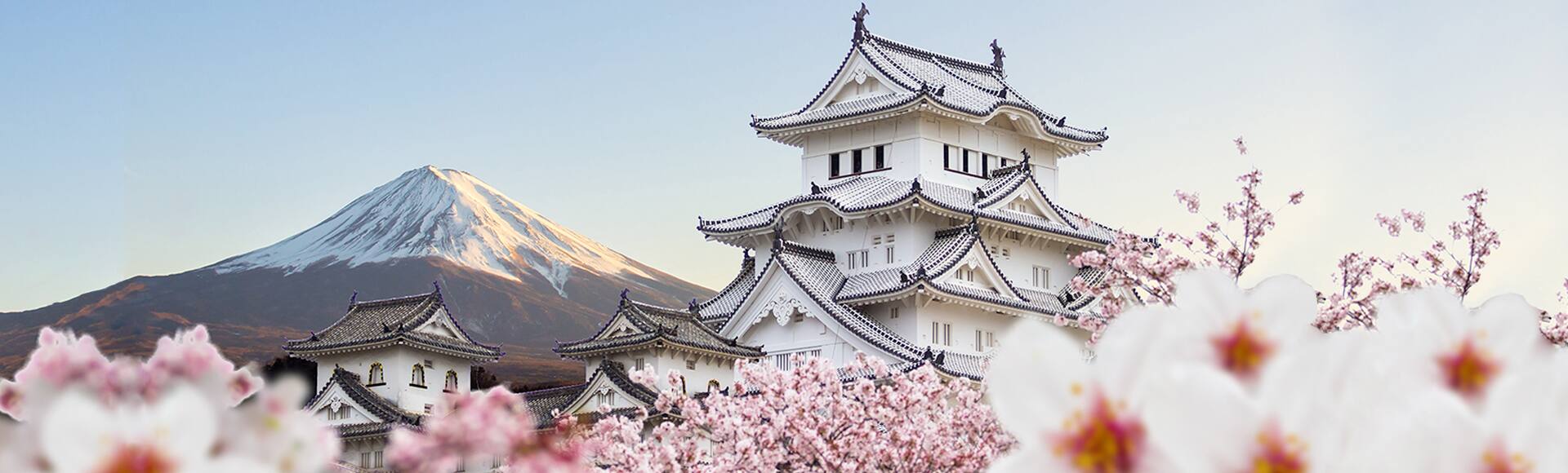 Oceania Cruises Official Site: Cruises Around The World